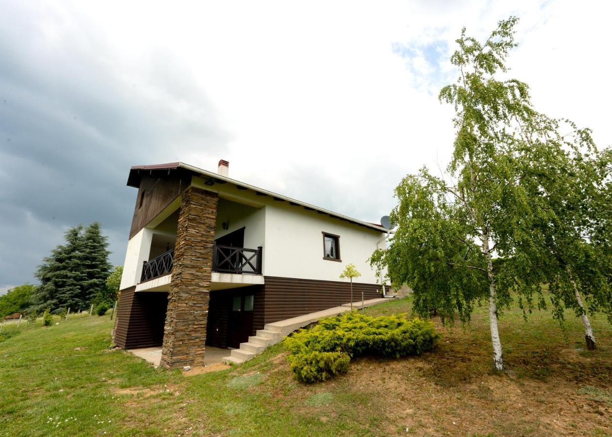 Vila Pellegrini Arandjelovac Exterior foto